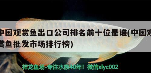 中国观赏鱼出口公司排名前十位是谁(中国观赏鱼批发市场排行榜) 观赏鱼进出口