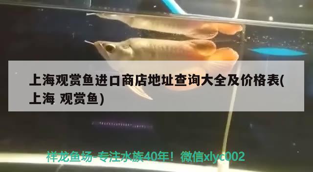 上海观赏鱼进口商店地址查询大全及价格表(上海观赏鱼)