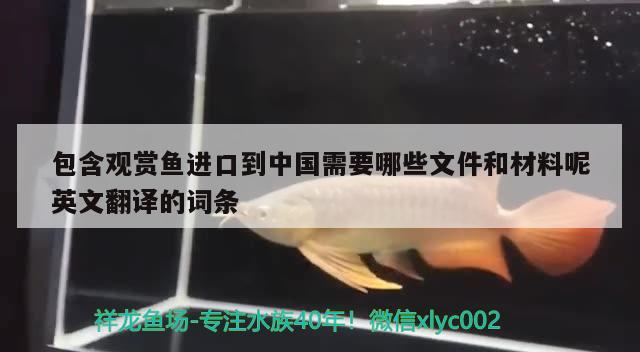 包含观赏鱼进口到中国需要哪些文件和材料呢英文翻译的词条 观赏鱼进出口