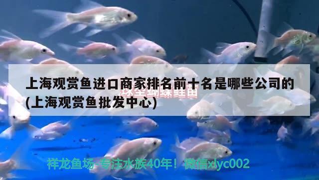 上海观赏鱼进口商家排名前十名是哪些公司的(上海观赏鱼批发中心)