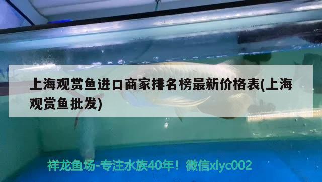 上海观赏鱼进口商家排名榜最新价格表(上海观赏鱼批发)