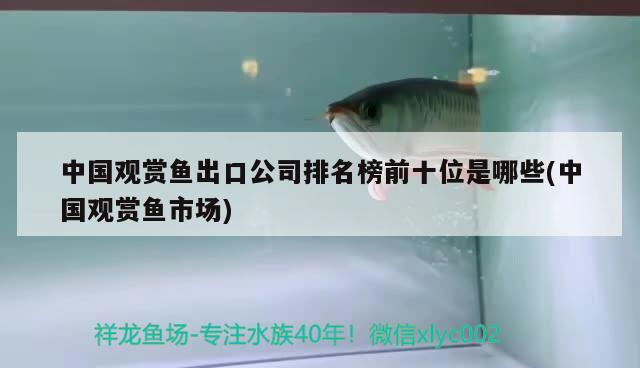 中国观赏鱼出口公司排名榜前十位是哪些(中国观赏鱼市场)