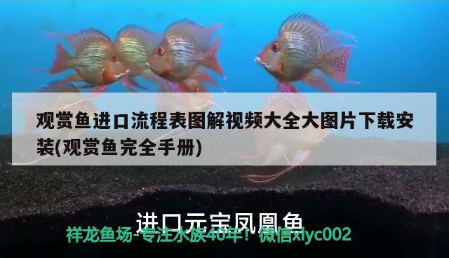 观赏鱼进口流程表图解视频大全大图片下载安装(观赏鱼完全手册)