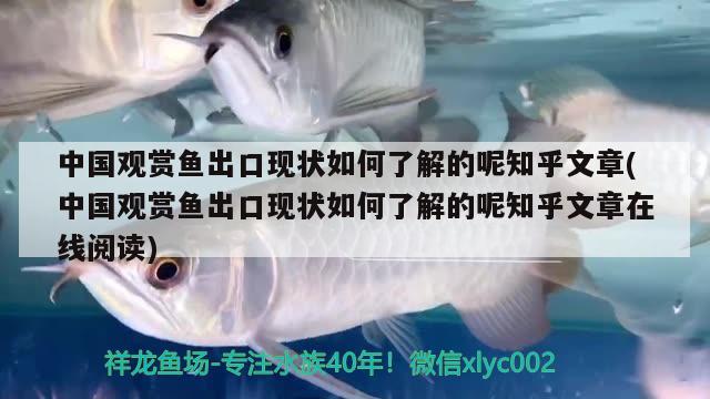 中国观赏鱼出口现状如何了解的呢知乎文章(中国观赏鱼出口现状如何了解的呢知乎文章在线阅读)