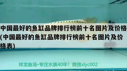 中国最好的鱼缸品牌排行榜前十名图片及价格(中国最好的鱼缸品牌排行榜前十名图片及价格表) 细线银版鱼