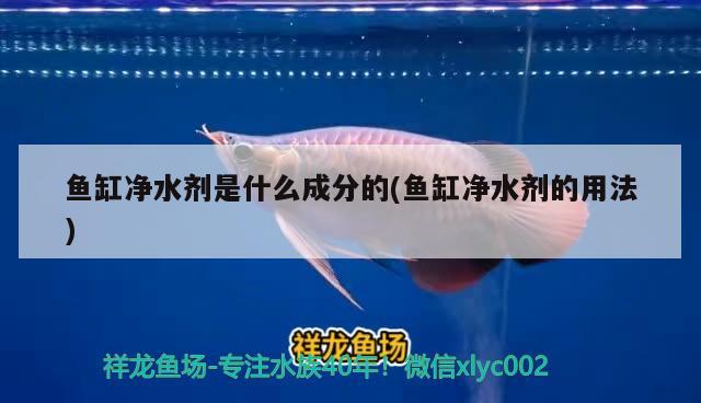 鱼缸净水剂是什么成分的(鱼缸净水剂的用法) 赤荔凤冠鱼