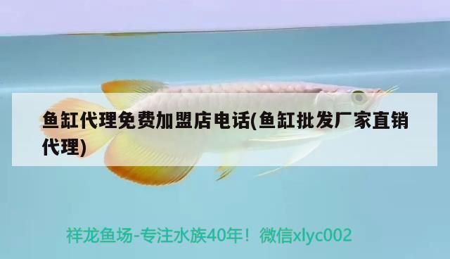 鱼缸代理免费加盟店电话(鱼缸批发厂家直销代理) 广州祥龙国际水族贸易