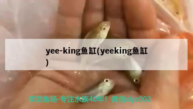 yee-king鱼缸(yeeking鱼缸)