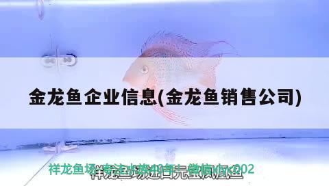 金龙鱼企业信息(金龙鱼销售公司) 红头利鱼