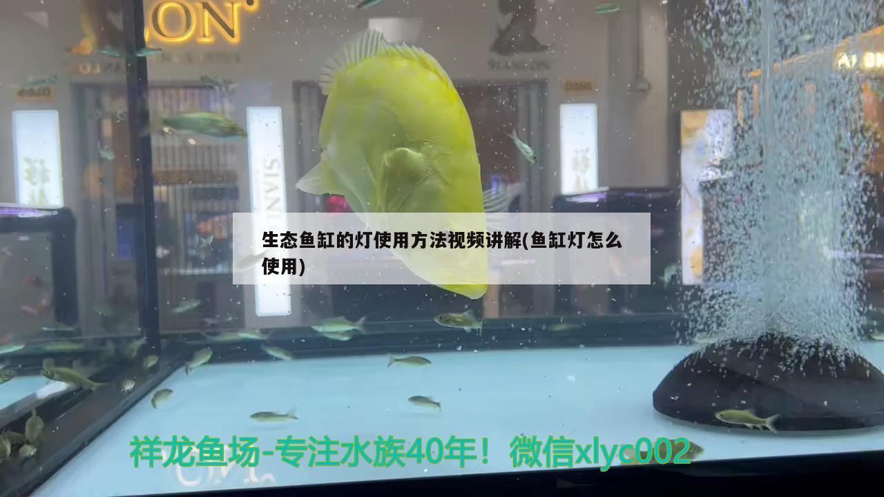 生态鱼缸的灯使用方法视频讲解(鱼缸灯怎么使用)