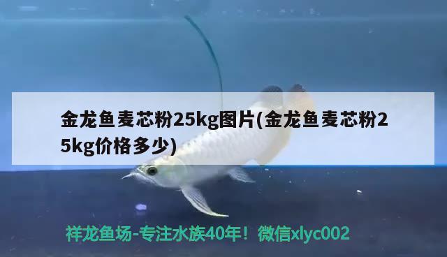 金龙鱼麦芯粉25kg图片(金龙鱼麦芯粉25kg价格多少) 一眉道人鱼