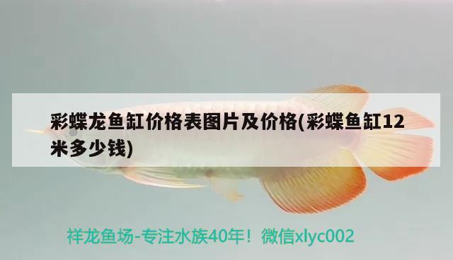 彩蝶龙鱼缸价格表图片及价格(彩蝶鱼缸12米多少钱) 广州水族器材滤材批发市场