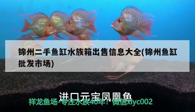 锦州二手鱼缸水族箱出售信息大全(锦州鱼缸批发市场) 鱼缸/水族箱