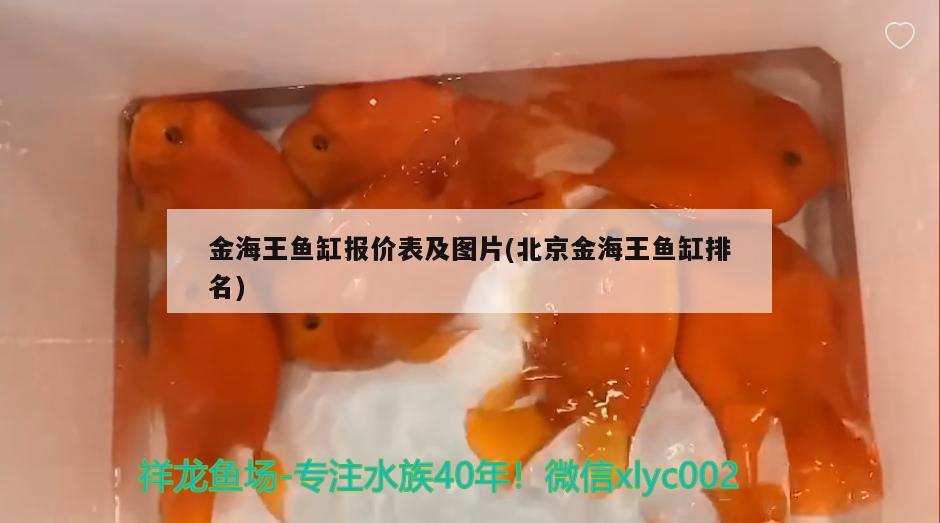 金海王鱼缸报价表及图片(北京金海王鱼缸排名)