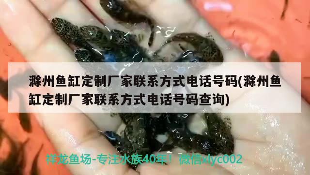滁州鱼缸定制厂家联系方式电话号码(滁州鱼缸定制厂家联系方式电话号码查询) 喂食器