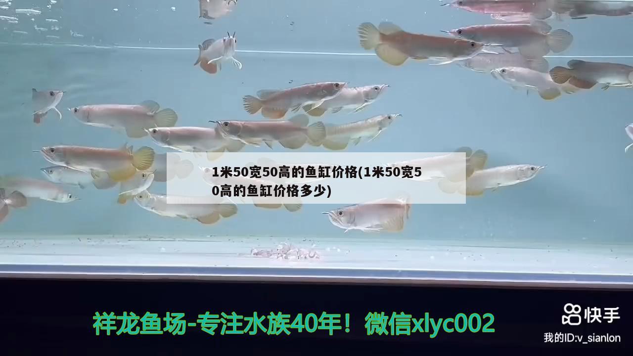 1米50宽50高的鱼缸价格(1米50宽50高的鱼缸价格多少) 印尼三纹虎