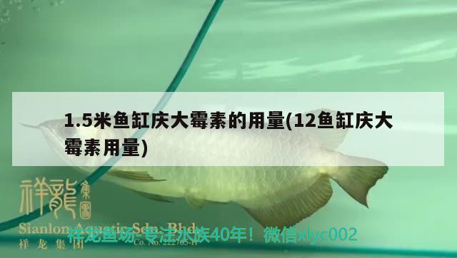 1.5米鱼缸庆大霉素的用量(12鱼缸庆大霉素用量)