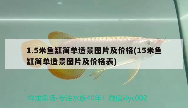 1.5米鱼缸简单造景图片及价格(15米鱼缸简单造景图片及价格表) 广州祥龙国际水族贸易
