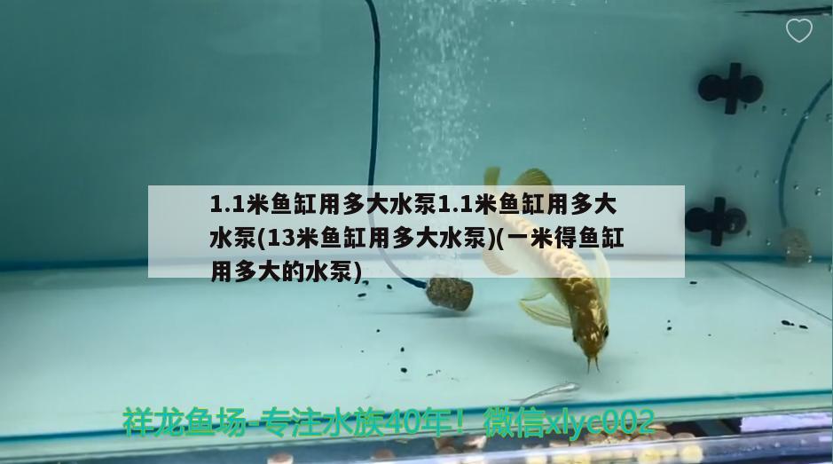1.1米鱼缸用多大水泵1.1米鱼缸用多大水泵(13米鱼缸用多大水泵)(一米得鱼缸用多大的水泵)