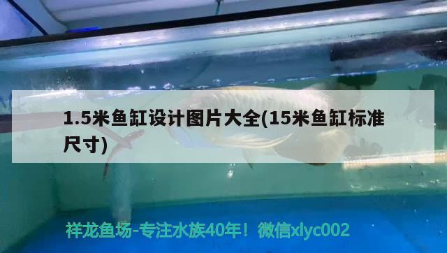 1.5米鱼缸设计图片大全(15米鱼缸标准尺寸) 蝴蝶鲤鱼苗
