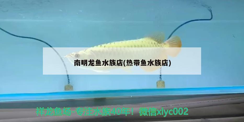 南明龙鱼水族店(热带鱼水族店)