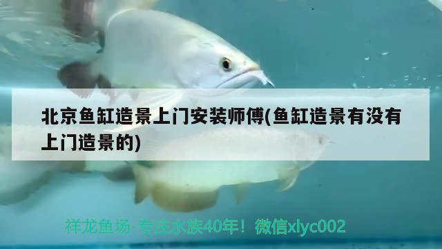 北京鱼缸造景上门安装师傅(鱼缸造景有没有上门造景的) 鱼缸风水