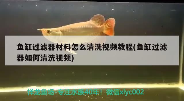 鱼缸过滤器材料怎么清洗视频教程(鱼缸过滤器如何清洗视频) 红龙专用鱼粮饲料