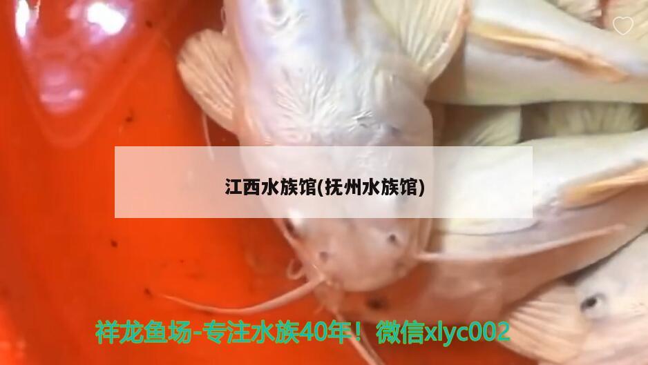 江西水族馆(抚州水族馆) 杀菌消毒设备