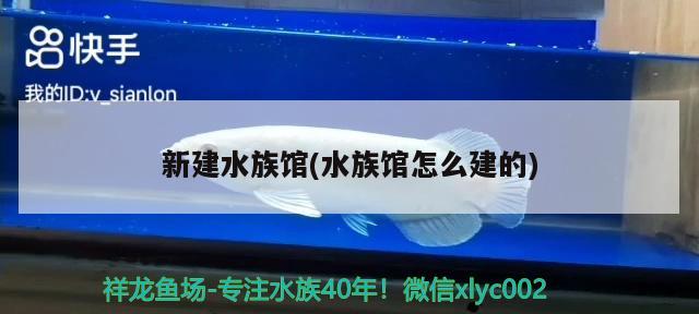 新建水族馆(水族馆怎么建的) 广州水族器材滤材批发市场