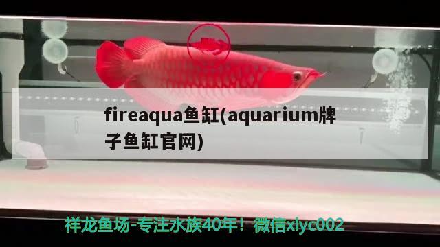 fireaqua鱼缸(aquarium牌子鱼缸官网)