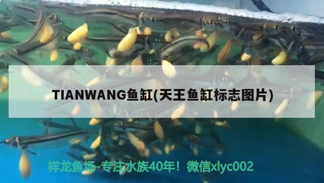 TIANWANG鱼缸(天王鱼缸标志图片)