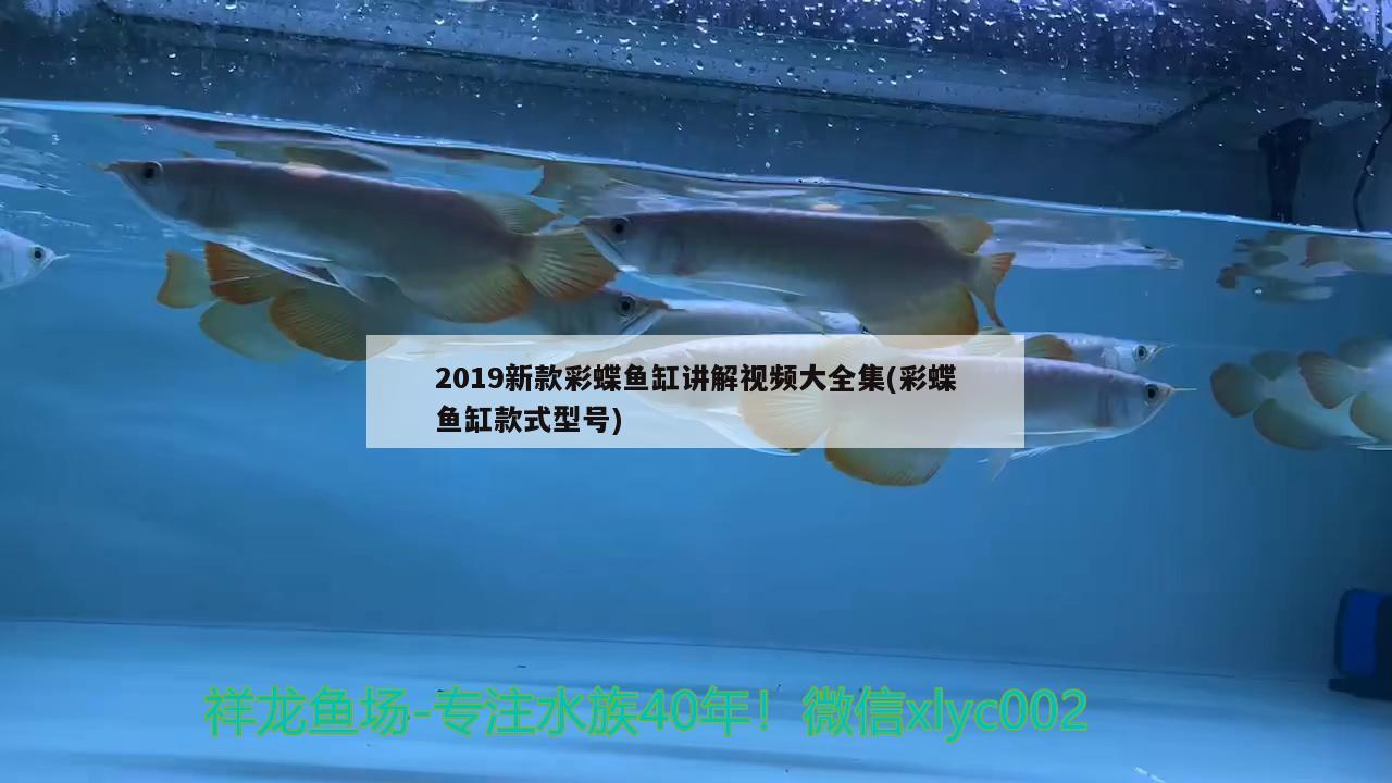 2019新款彩蝶鱼缸讲解视频大全集(彩蝶鱼缸款式型号)