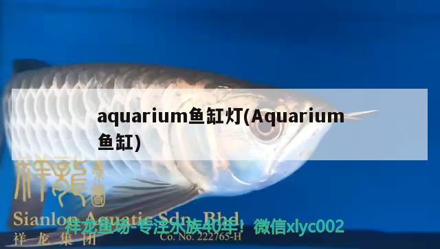 aquarium鱼缸灯(Aquarium鱼缸)