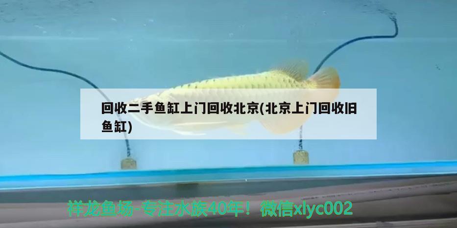 回收二手鱼缸上门回收北京(北京上门回收旧鱼缸)