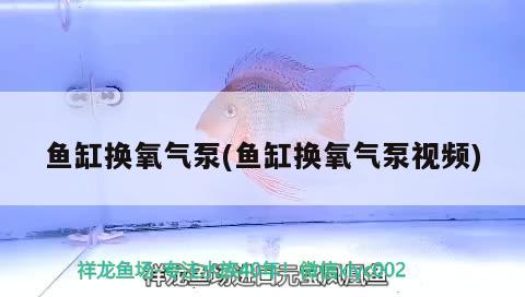鱼缸换氧气泵(鱼缸换氧气泵视频) 红龙专用鱼粮饲料
