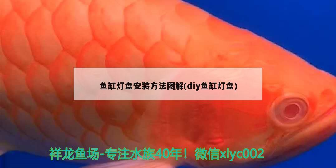 鱼缸灯盘安装方法图解(diy鱼缸灯盘)