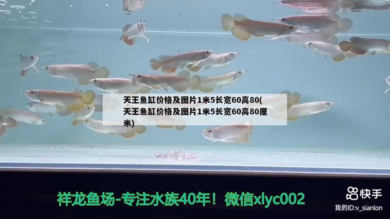 天王鱼缸价格及图片1米5长宽60高80(天王鱼缸价格及图片1米5长宽60高80厘米) 鱼缸