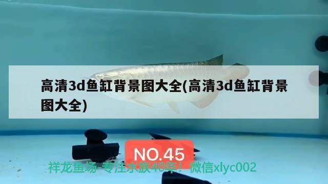高清3d鱼缸背景图大全(高清3d鱼缸背景图大全) 白子银版鱼苗
