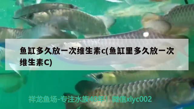 鱼缸多久放一次维生素c(鱼缸里多久放一次维生素C) 泰庞海鲢鱼