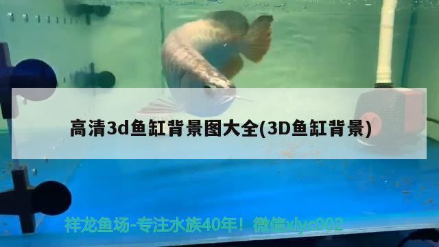 高清3d鱼缸背景图大全(3D鱼缸背景) 黄宽带蝴蝶鱼