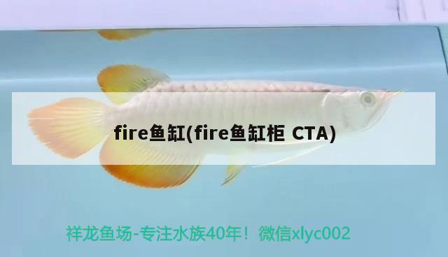 fire鱼缸(fire鱼缸柜CTA) 恐龙王鱼
