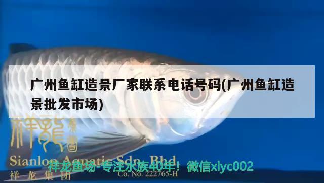 广州鱼缸造景厂家联系电话号码(广州鱼缸造景批发市场)