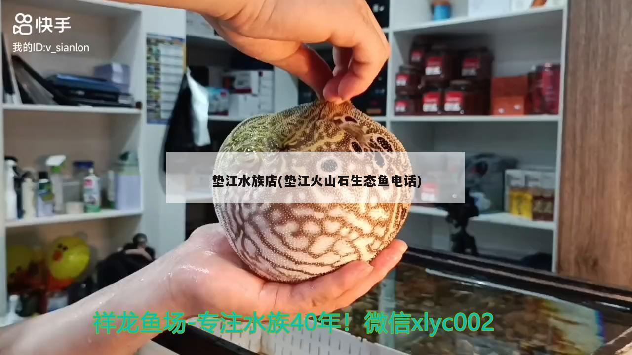 垫江水族店(垫江火山石生态鱼电话)