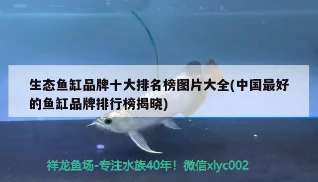 生态鱼缸品牌十大排名榜图片大全(中国最好的鱼缸品牌排行榜揭晓)