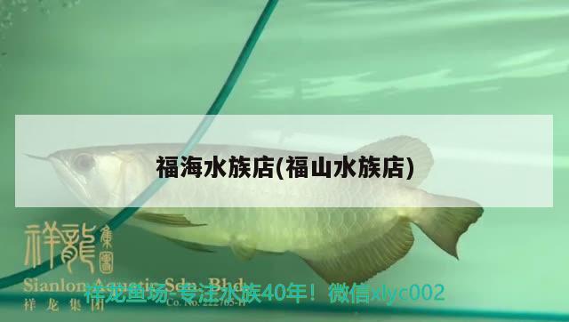 福海水族店(福山水族店) 猪鼻龟