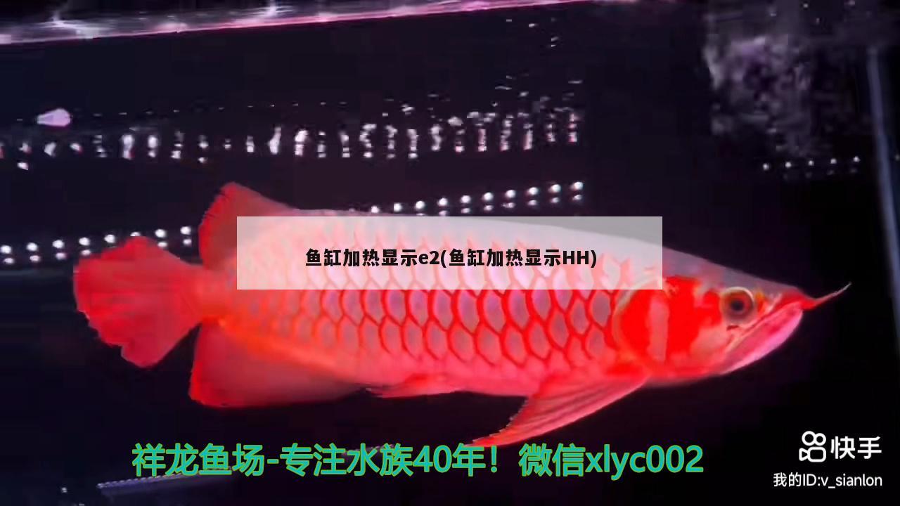 鱼缸加热显示e2(鱼缸加热显示HH) 豹纹夫鱼苗