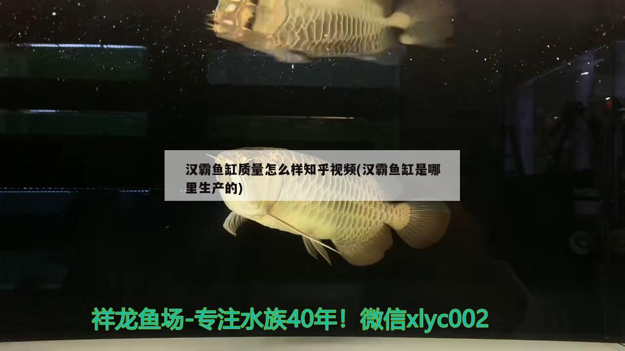 汉霸鱼缸质量怎么样知乎视频(汉霸鱼缸是哪里生产的) 鱼缸