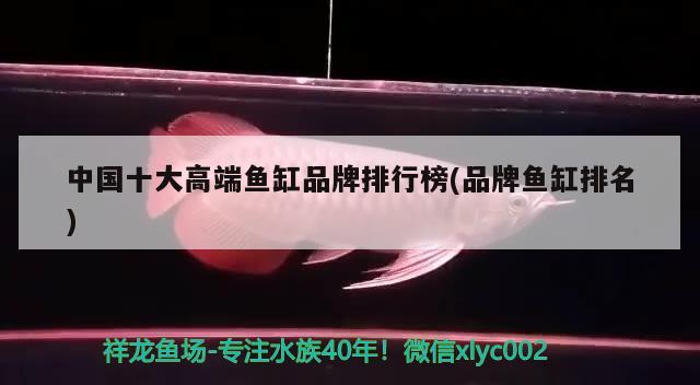 中国十大高端鱼缸品牌排行榜(品牌鱼缸排名) 鱼缸