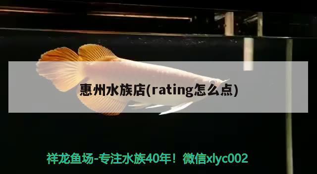惠州水族店(rating怎么点)