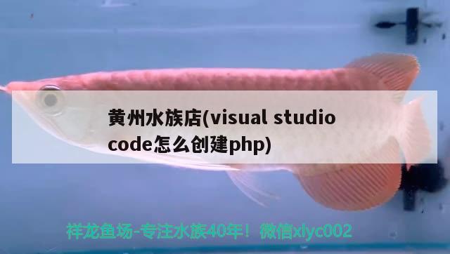 黄州水族店(visualstudiocode怎么创建php)